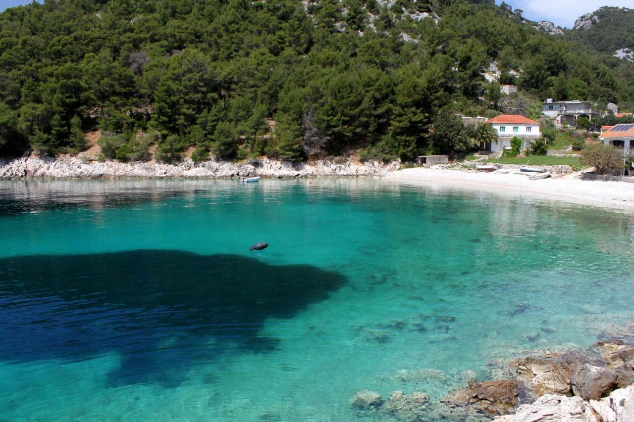 Seaside Secluded Apartments Cove Skozanje, Hvar - 14899 Gdinj エクステリア 写真